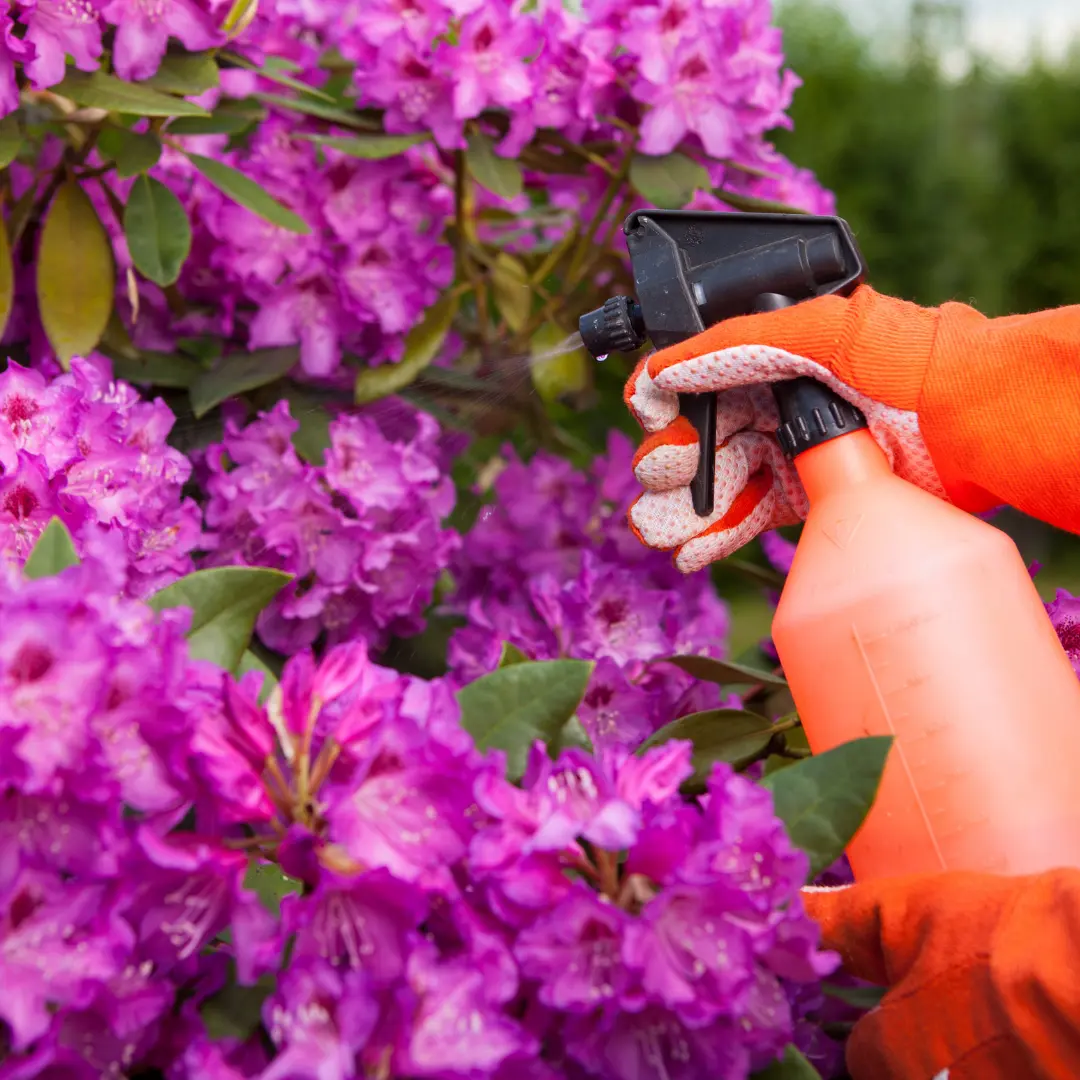 Plant Protection Programs - Spring/Summer & Fall/Winter